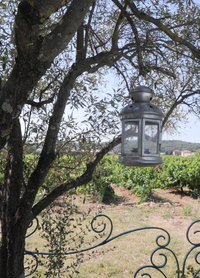 Отель Maison D'Hotes Le Mas Des Vignes Rochegude  Экстерьер фото