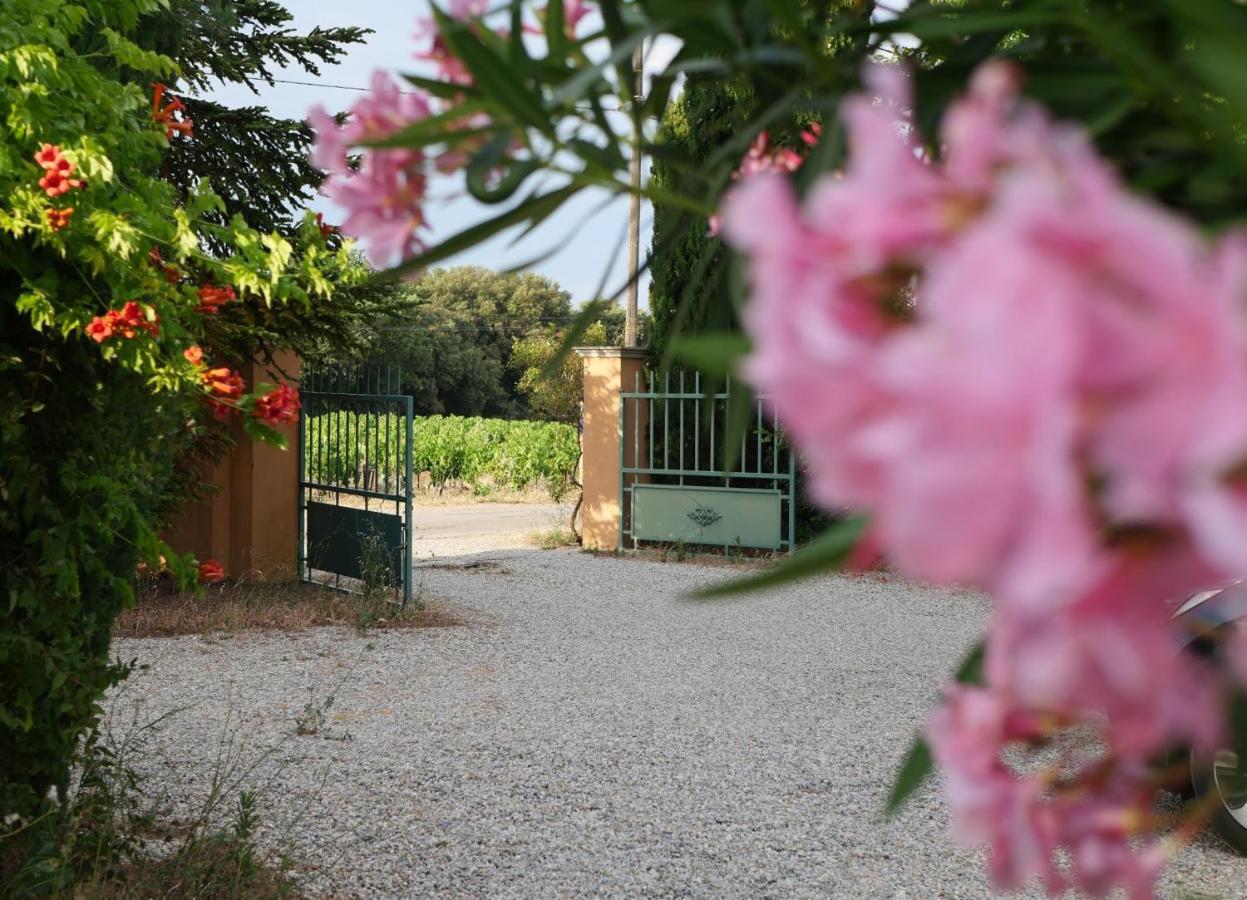 Отель Maison D'Hotes Le Mas Des Vignes Rochegude  Экстерьер фото
