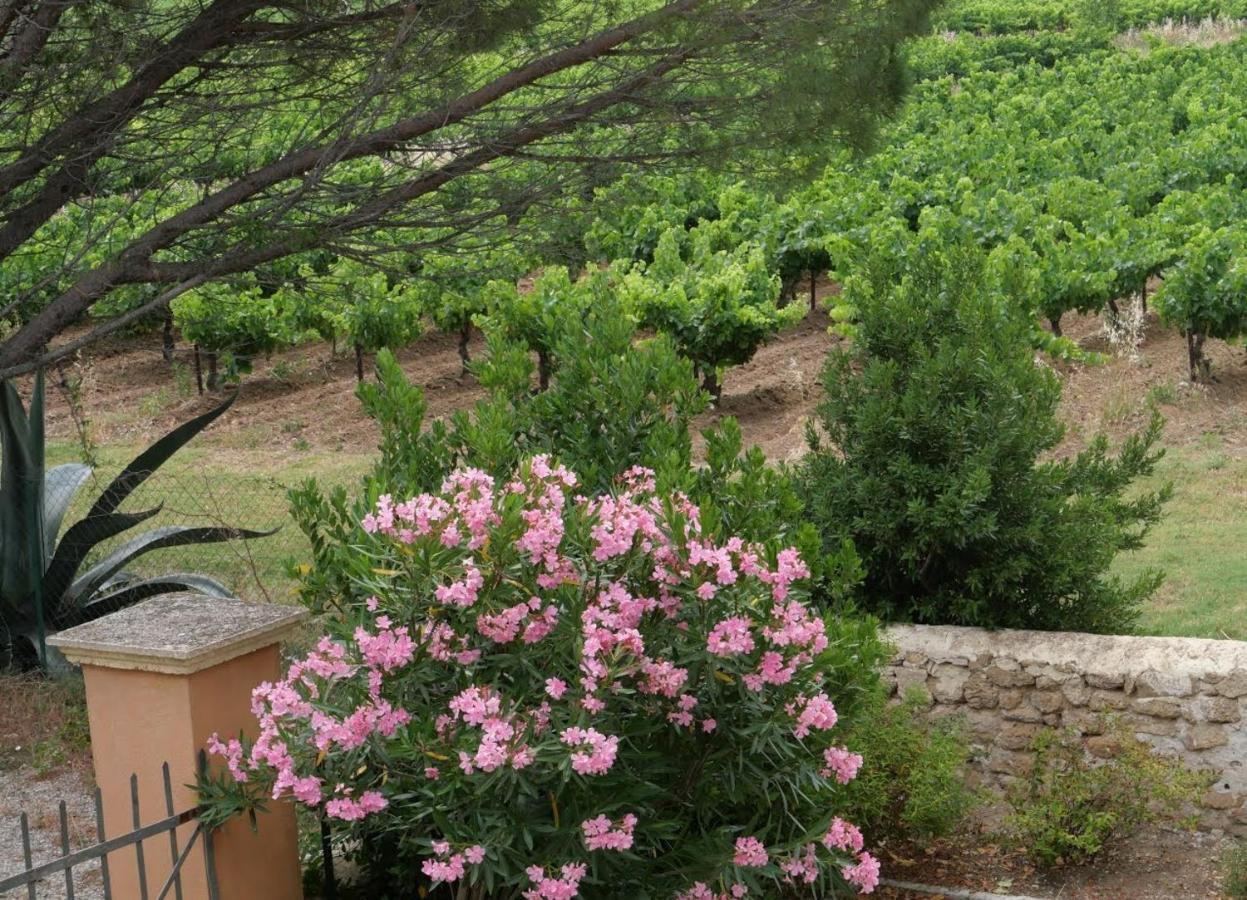 Отель Maison D'Hotes Le Mas Des Vignes Rochegude  Экстерьер фото