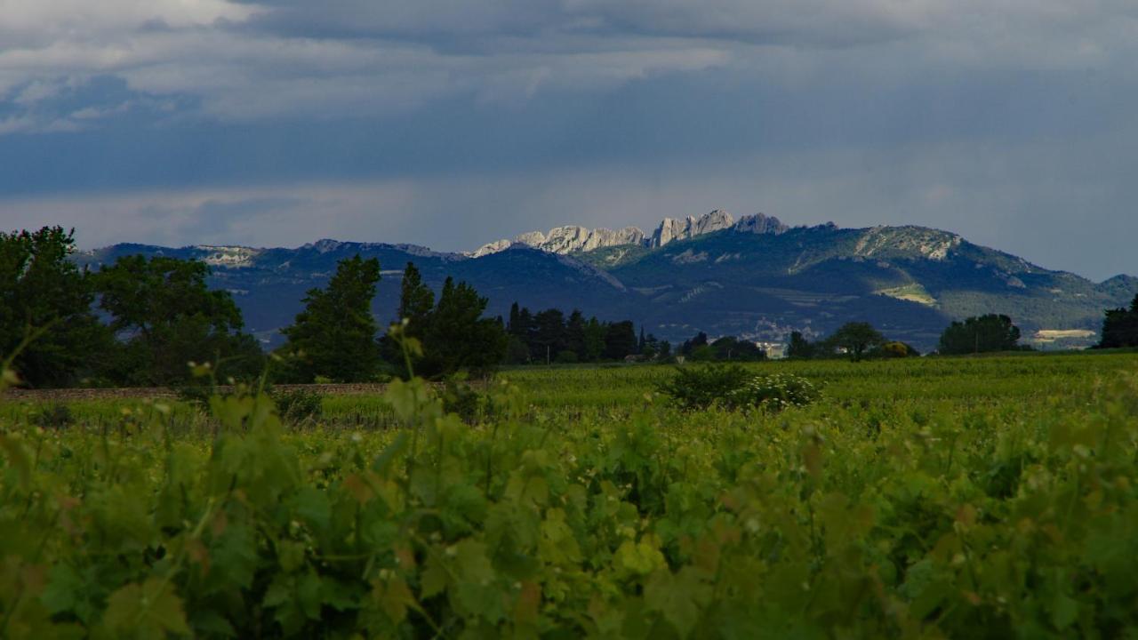 Отель Maison D'Hotes Le Mas Des Vignes Rochegude  Экстерьер фото